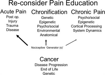 Frontiers | Chronic Pain As A Hypothetical Construct: A Practical And ...